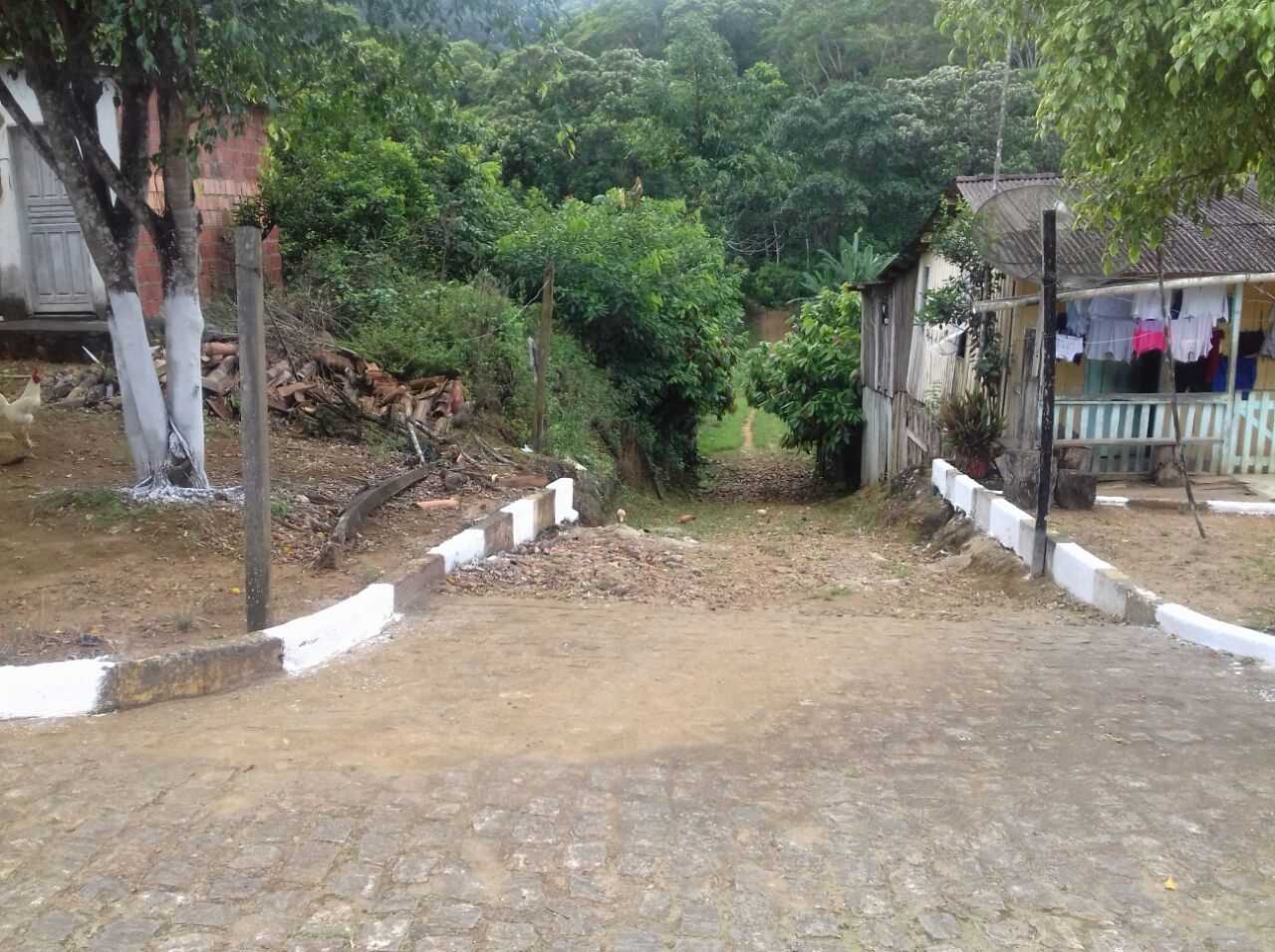 rosagem